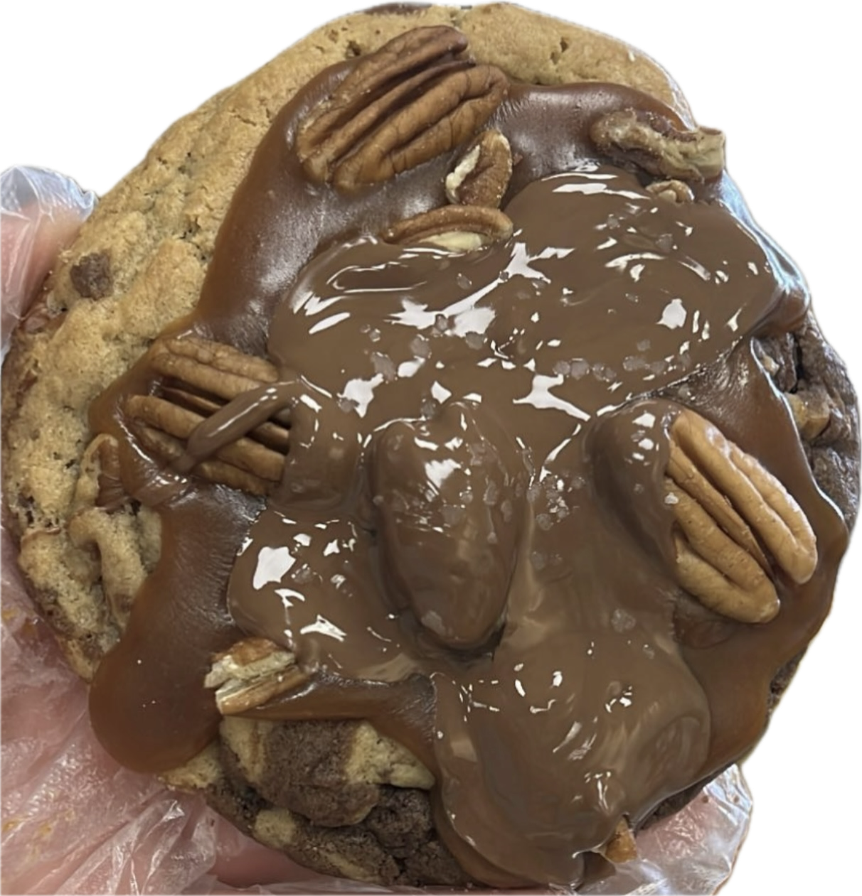 Turtles Cookie