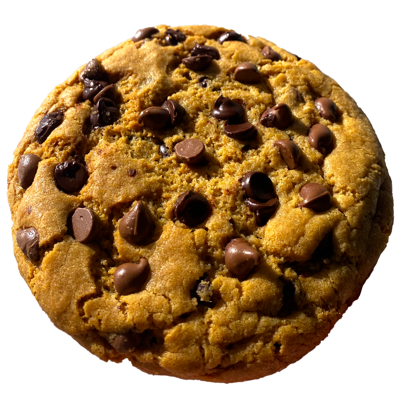 Chocolate Chip Cookie